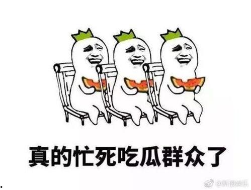 11吃瓜群众,11位吃瓜群众眼中的娱乐圈风云