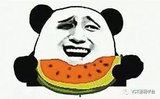 吃瓜群众长什么样,他们究竟长什么样?