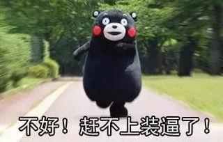 吃瓜群众长什么样,他们究竟长什么样?