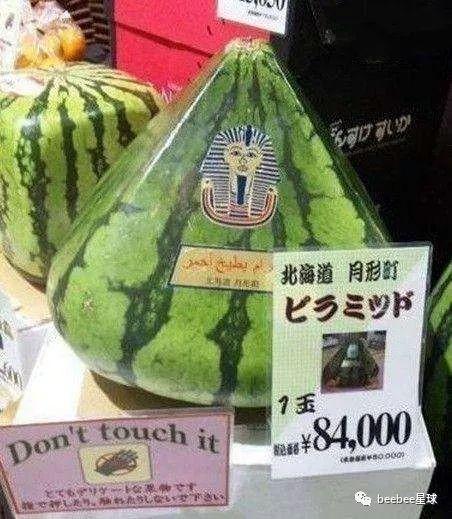 流调人员吃瓜群众,流调人员与吃瓜群众的互动故事