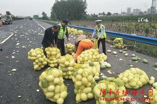 清泉吃瓜群众,揭秘网络热议背后的真相