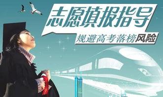 吃瓜群众事业部,揭秘网络热议背后的真相与趣味