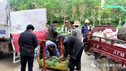 永康吃瓜群众事件,网络舆论的风暴与反思