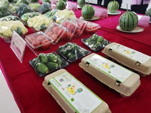 吃瓜群众巧克力图片大全,吃瓜群众眼中的甜蜜瞬间