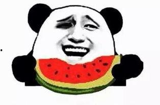 吃瓜群众阿文是谁,网络红人的崛起之路