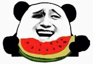 一名帅气的吃瓜群众图片,帅气吃瓜群众，一图看尽瓜田风光