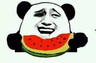 吃瓜群众的两个人,两位“瓜农”的瓜界风云