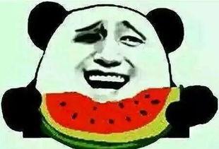 来一组吃瓜群众怎么说话,娱乐圈风云再起，揭秘幕后真相