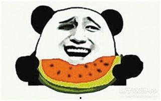 二胎时代吃瓜群众