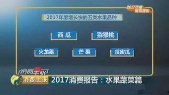 地球首席吃瓜群众是谁,揭秘神秘身份背后的故事