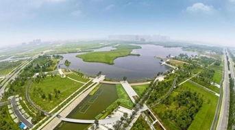 赞美群众吃瓜的美景,群众共享丰收喜悦