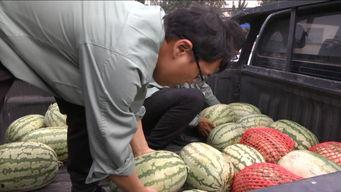 吃瓜群众真开心下一句,揭秘网络热议背后的欢乐与思考