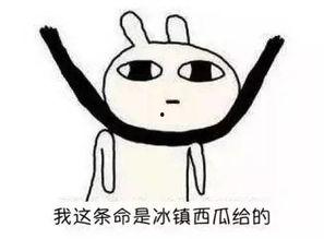 吃瓜群众心里明白的道理,揭开吃瓜群众心知肚明的真相面纱