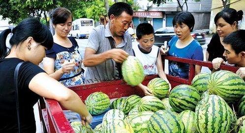 吃瓜群众团结二路,吃瓜群众的欢乐集结地