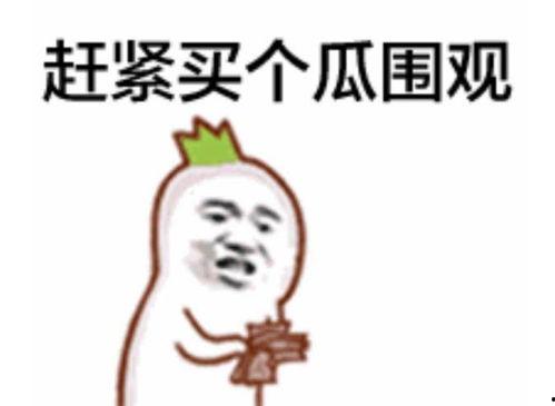 洪先森吃瓜群众是真的吗