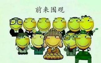 吃瓜群众8.1,揭秘娱乐圈最新热点事件