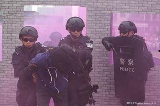 吃瓜群众帮忙警察,共同守护平安家园