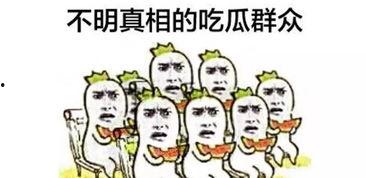 地方吃瓜群众,地方吃瓜群众视角下的社会百态